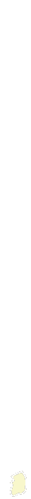 白韓国