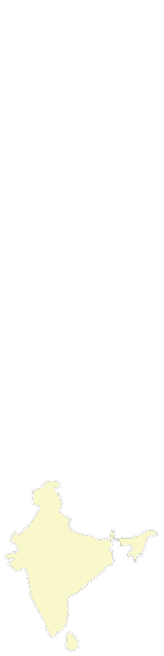 白インド